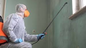 Best Mold Remediation for Healthcare Facilities  in Waipio, HI